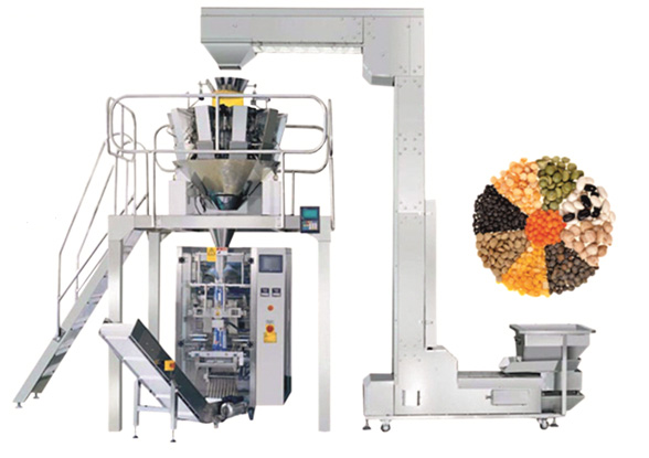 Multi Head Weigh Filling 
